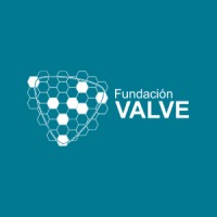 Fundación Valve logo, Fundación Valve contact details