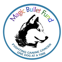 Magic Bullet Fund logo, Magic Bullet Fund contact details