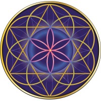 Flower Of Life Cannabis logo, Flower Of Life Cannabis contact details