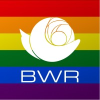 BWR_MEX logo, BWR_MEX contact details