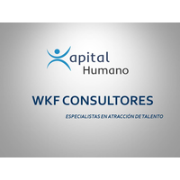 WKF Consultores (Reclutamiento TI MX) logo, WKF Consultores (Reclutamiento TI MX) contact details