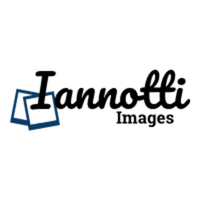 Iannotti Images logo, Iannotti Images contact details