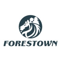 FORESTOWN INTERNATIONAL CONSULTING INC. logo, FORESTOWN INTERNATIONAL CONSULTING INC. contact details