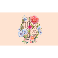 Blossoming Minds Therapy logo, Blossoming Minds Therapy contact details