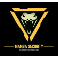 Mamba Security logo, Mamba Security contact details