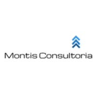 Montis Consultoria logo, Montis Consultoria contact details