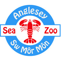 Anglesey Sea Zoo and Marine Resource Centre Limited logo, Anglesey Sea Zoo and Marine Resource Centre Limited contact details