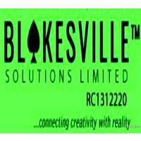 BLAKESVILLE SOLUTIONS LIMITED logo, BLAKESVILLE SOLUTIONS LIMITED contact details