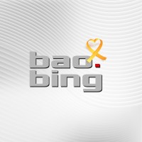 Bao Bing Infraestrutura de redes logo, Bao Bing Infraestrutura de redes contact details