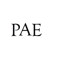 PAE Professional Services logo, PAE Professional Services contact details