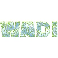 WADI Studio logo, WADI Studio contact details