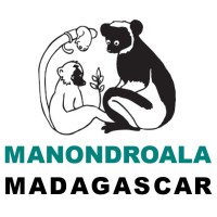 Manondroala logo, Manondroala contact details