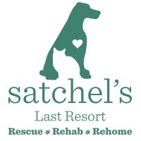 Satchel's Last Resort logo, Satchel's Last Resort contact details