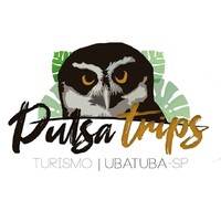 Pulsatrips Expeditions logo, Pulsatrips Expeditions contact details