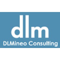 DLMineo Consulting logo, DLMineo Consulting contact details