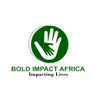 BOLD IMPACT AFRICA logo, BOLD IMPACT AFRICA contact details