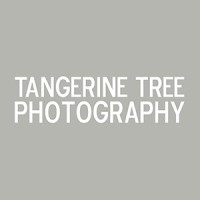 Tangerine Tree Photography logo, Tangerine Tree Photography contact details