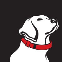 Red Collar Marketing logo, Red Collar Marketing contact details