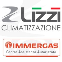 LIZZI SRL logo, LIZZI SRL contact details