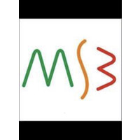 MSB Training Consultancy logo, MSB Training Consultancy contact details