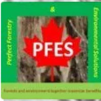 Perfect Forestry and Environmental Solutions (PFES) logo, Perfect Forestry and Environmental Solutions (PFES) contact details