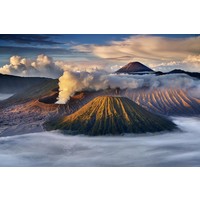 Bromo Ijen Volcano Tour Agency logo, Bromo Ijen Volcano Tour Agency contact details