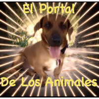 El Portal de los Animales Inc. logo, El Portal de los Animales Inc. contact details