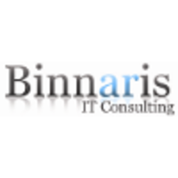 Binnaris IT Consulting logo, Binnaris IT Consulting contact details