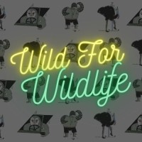 Wild For Wildlife Merchandise logo, Wild For Wildlife Merchandise contact details