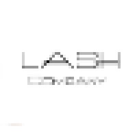 LASH Company logo, LASH Company contact details