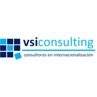 VSI CONSULTING logo, VSI CONSULTING contact details