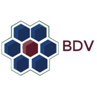 Big Data Ventures LLC logo, Big Data Ventures LLC contact details