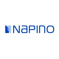 NAPINO AUTO AND ELECTRONICS LIMITED logo, NAPINO AUTO AND ELECTRONICS LIMITED contact details