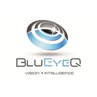 BluEyeQ LLC logo, BluEyeQ LLC contact details