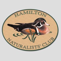 Hamilton Naturalists' Club logo, Hamilton Naturalists' Club contact details