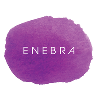 ENEBRA logo, ENEBRA contact details