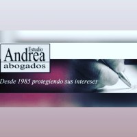 Estudio Andrea - abogados - logo, Estudio Andrea - abogados - contact details