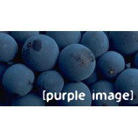 Purple Image logo, Purple Image contact details