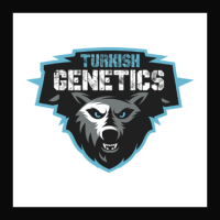 TURKISH GENETICS TOHUMCULUK AŞ logo, TURKISH GENETICS TOHUMCULUK AŞ contact details