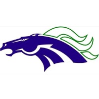 Mcneil High School logo, Mcneil High School contact details