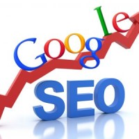 Search Engine Optimization India logo, Search Engine Optimization India contact details