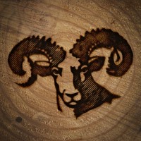 Blacksheep Regenerative Resource Management logo, Blacksheep Regenerative Resource Management contact details