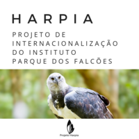 Projeto Harpia logo, Projeto Harpia contact details