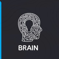 Brain Mkt logo, Brain Mkt contact details