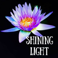 Shining Light Jewelry logo, Shining Light Jewelry contact details