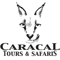 Caracal Tours & Safaris logo, Caracal Tours & Safaris contact details