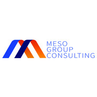 Meso Group Consulting logo, Meso Group Consulting contact details