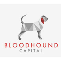 Bloodhound Capital, LLC logo, Bloodhound Capital, LLC contact details