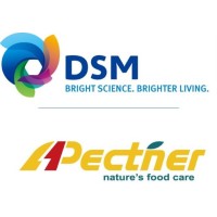 DSM Andre Pectin logo, DSM Andre Pectin contact details