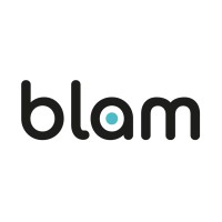 Blam Websites | Digital Marketing Franchise logo, Blam Websites | Digital Marketing Franchise contact details